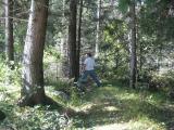 Foto8