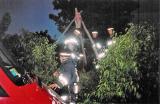 Foto5