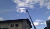 Foto11